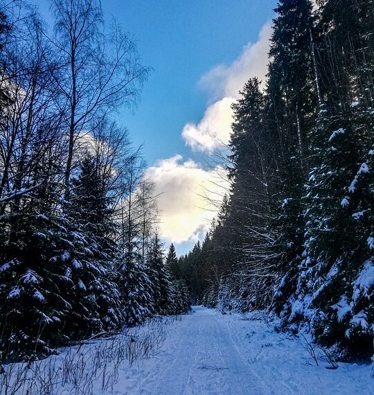 Harrachov – 7 denní itinerář v Jizerských horách