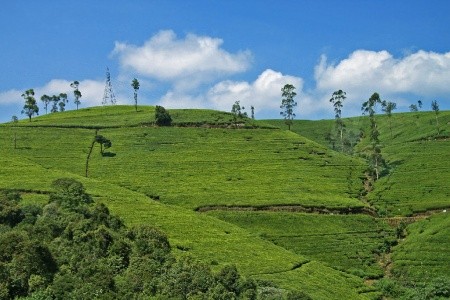 Přírodní bohatství Srí Lanky