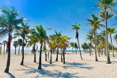 Miami Beach – utečte zimě do tropického ráje