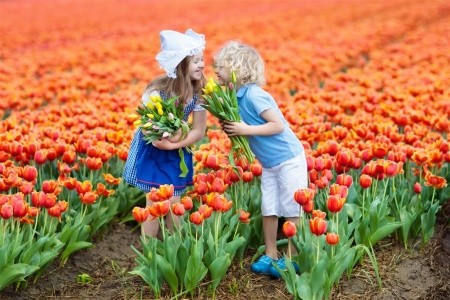 Keukenhof na otočku