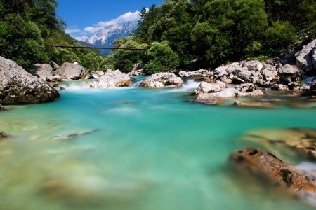 Alp