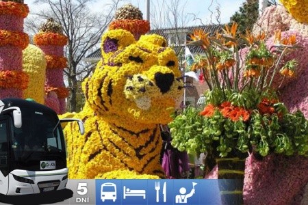 Kvetinový korzo Bloemen Corso v Holandsku