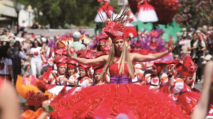 Slavnosti květin na Madeiře II.