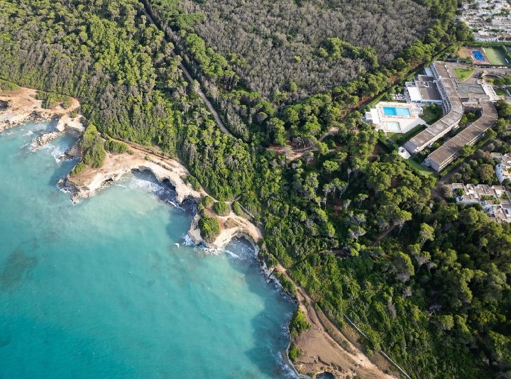 VOI Daniela Essentia