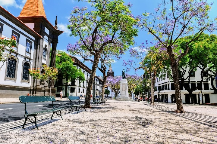Alojamento Central II v centru Funchalu s výhledem na město