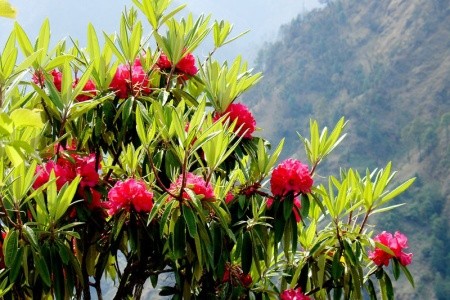 Malý okruh Nepálem s vyhlídkovým letem