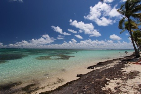 KARIBIK – Guadeloupe, Dominika, Martinik