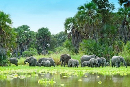 Zájezd do divoké přírody Afriky s návštěvou Zanzibaru a safari.