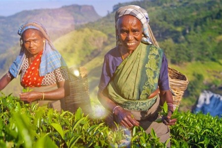 Od čajových plantáží Darjeelingu k himálajským klášterům Bhútánu
