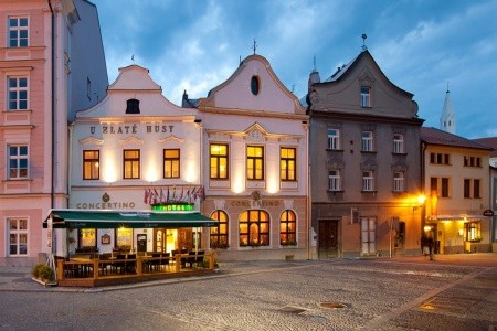 Orea Concertino Zlata Husa (Jindřichův Hradec)