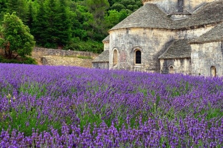 Poznávací zájezd do Provence s levandulovými poli a historickými památkami.