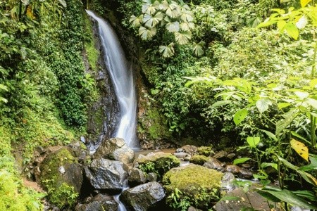 Kostarická odysea s návštěvou národních parků a pláží